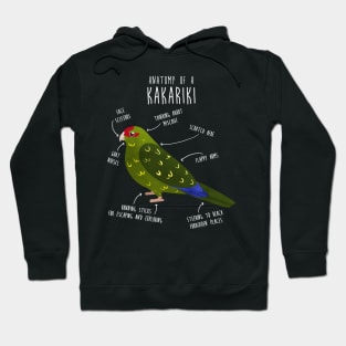 Kakariki Anatomy Hoodie